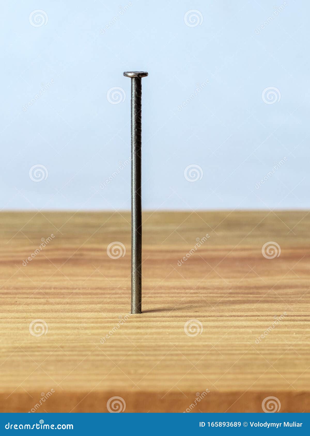 Construction Nail Hammered into the Board. Use of Nails in Construction