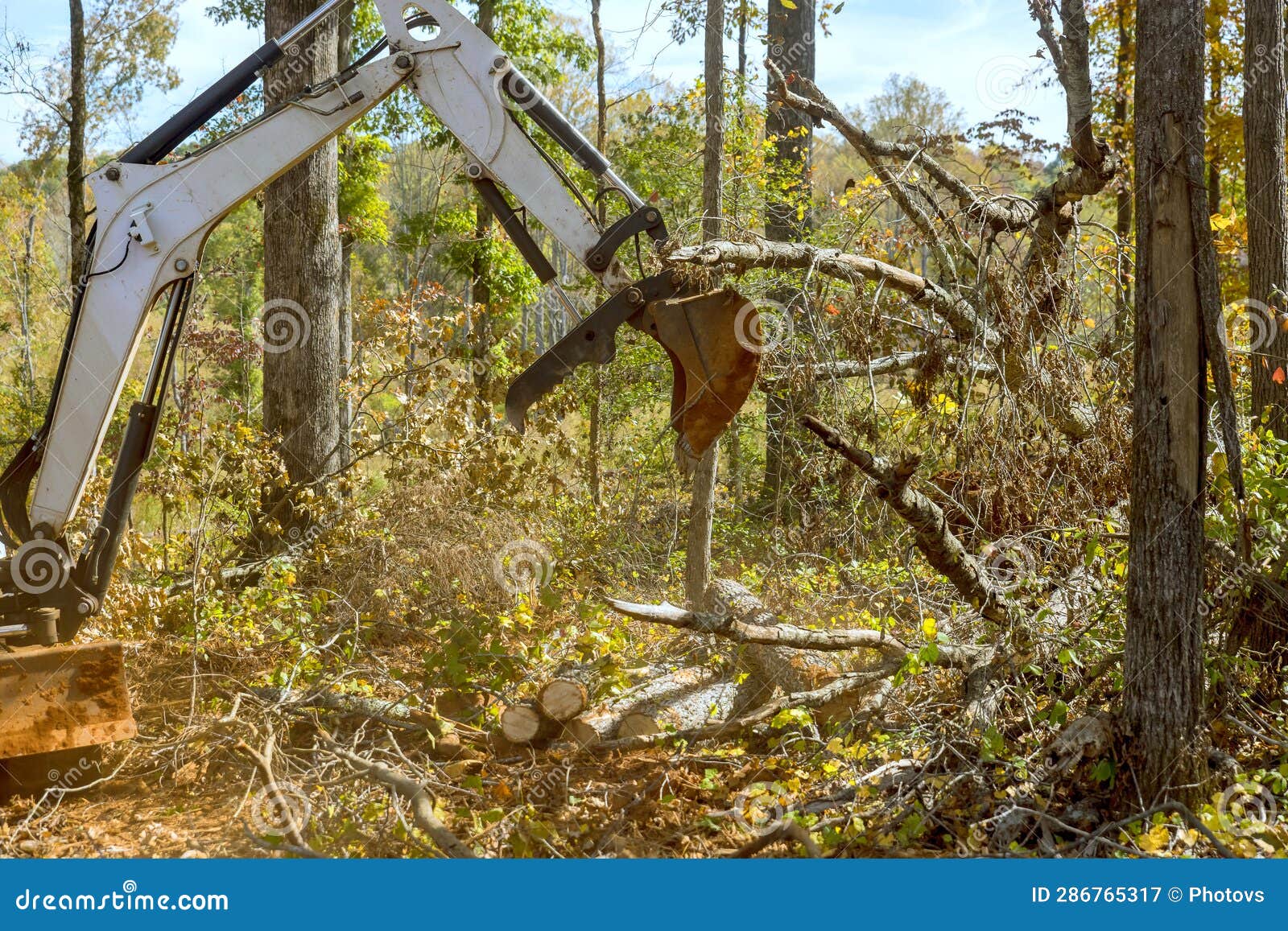 Construction Site Preparation with Skid Steer Tractor Remove Roots