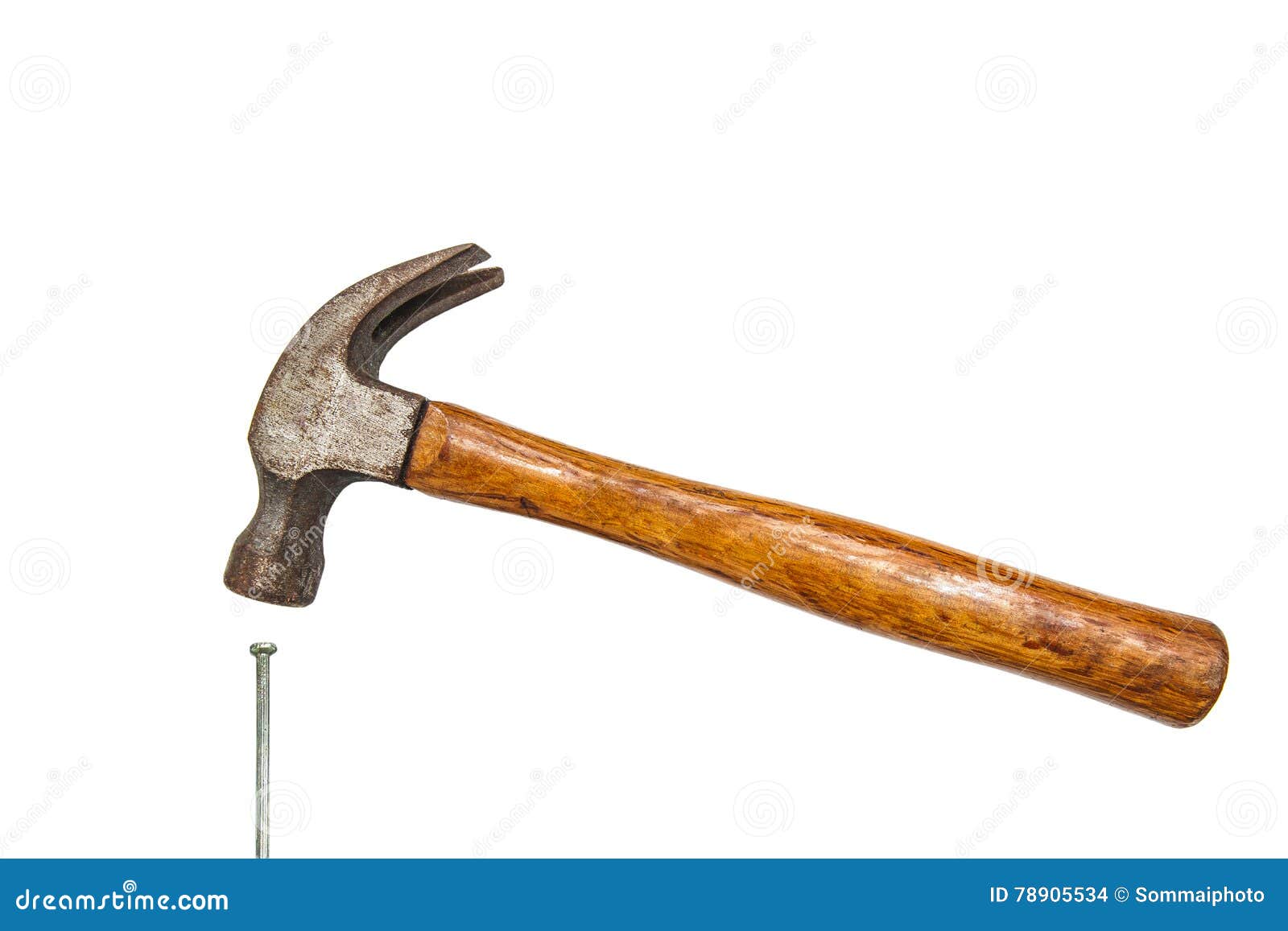 Construction Tools, Hammer Head and Concrete Nails Stock Photo Image