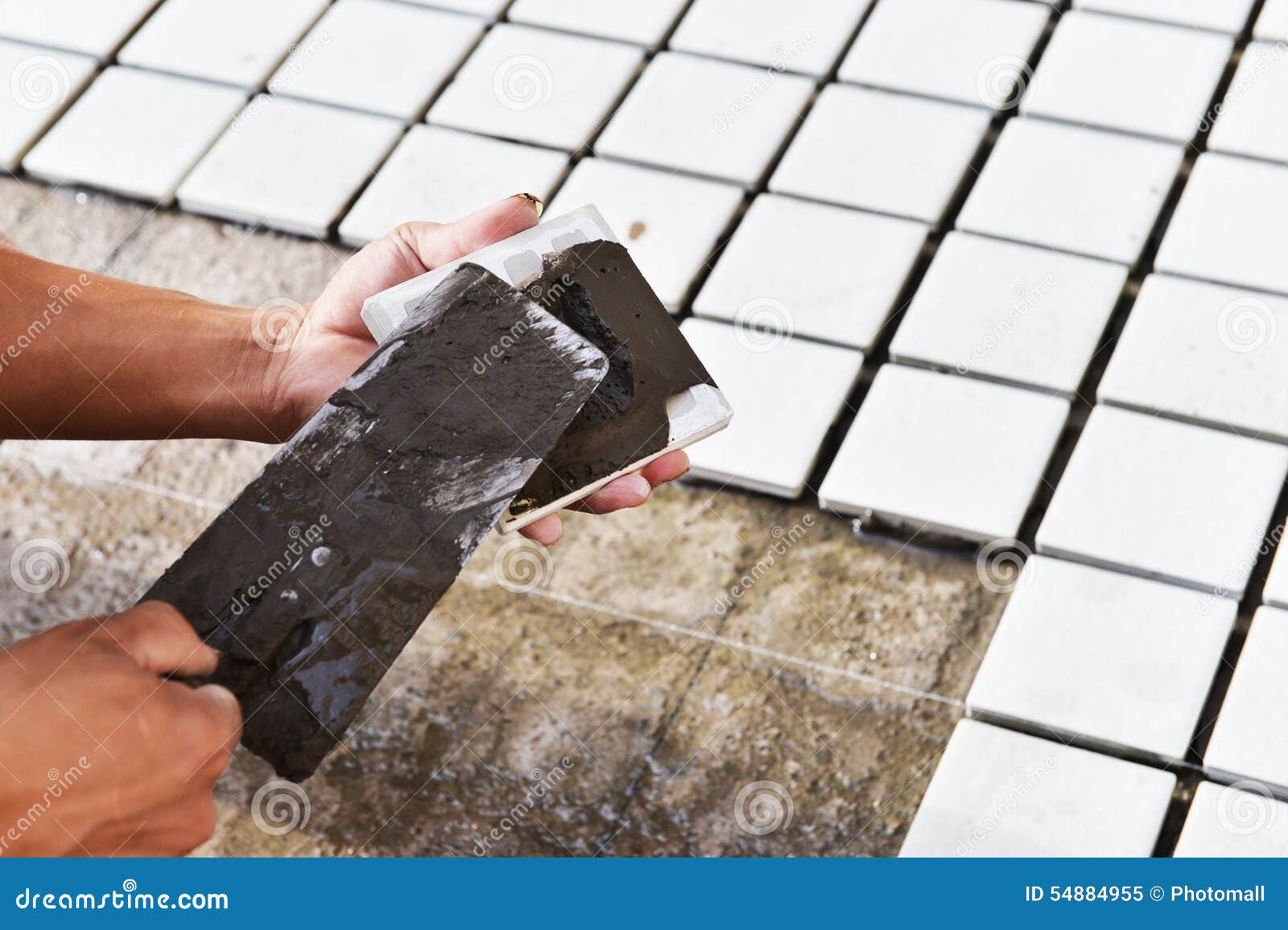 Construction Worker Glued Ceramic Tile Stock Image Image of