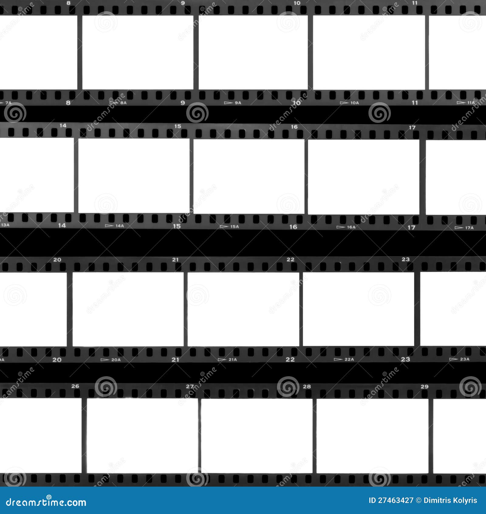 contact sheet blank film frames