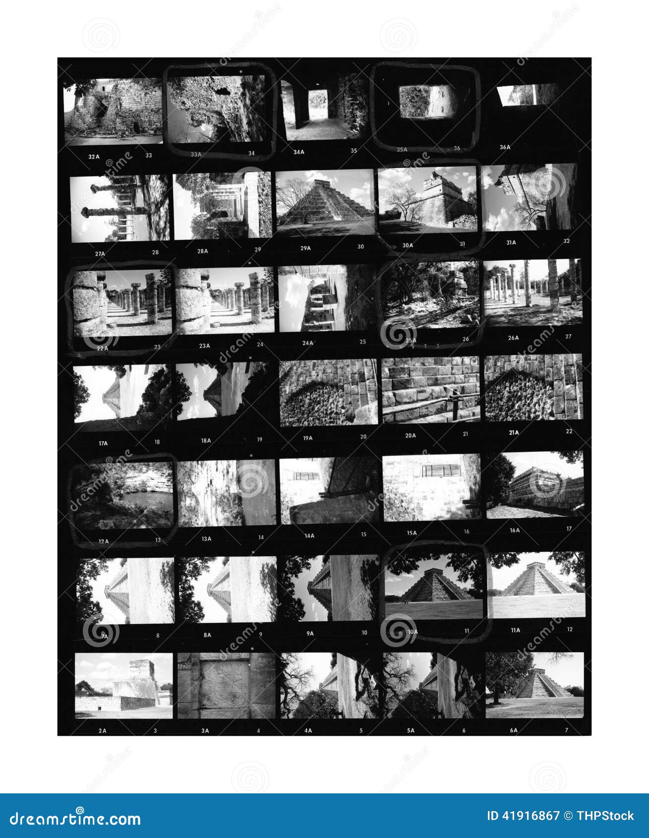 contact sheet black and white negatives