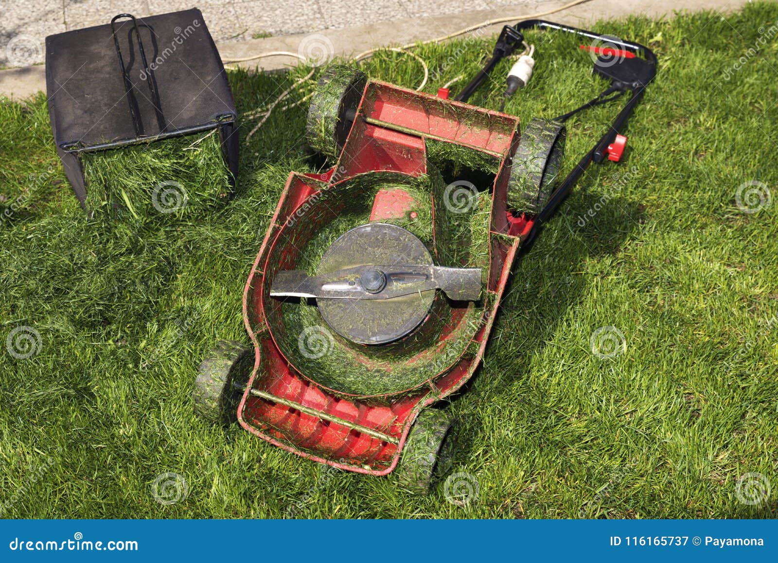 Container Full of Cutting Grass and Red Mower Upside Down Stock Image