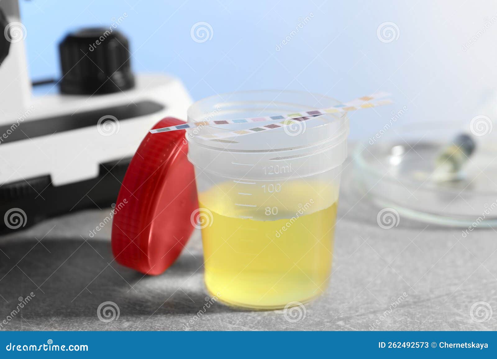 Container with Urine Sample for Analysis and Test Strips on Grey Table