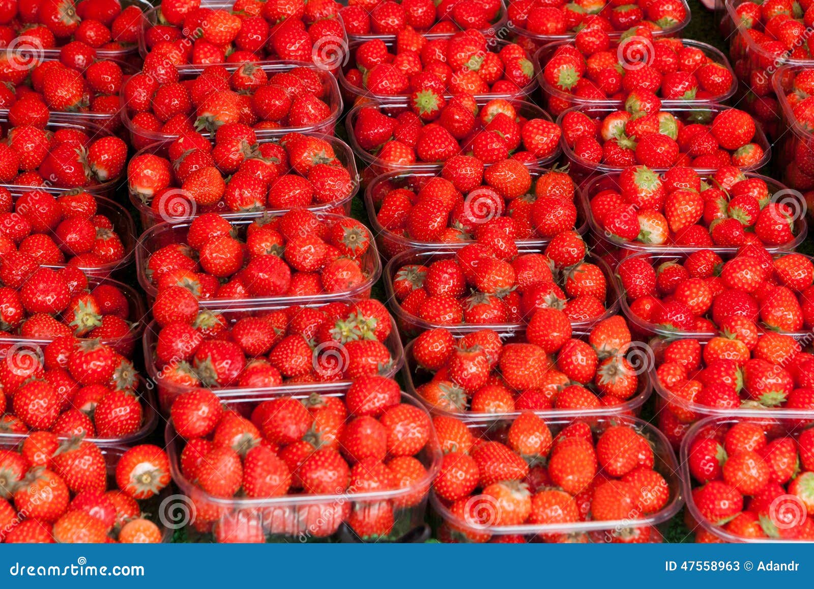 Containers with Strawberry on a Counter Stock Image Image of food