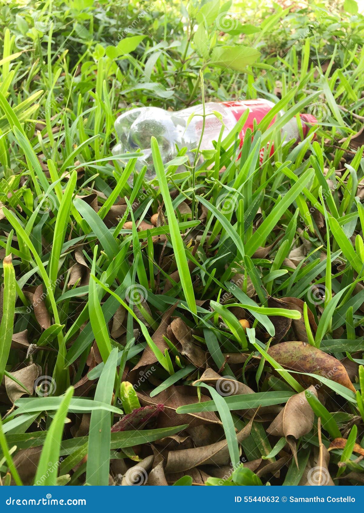 Contamination editorial photography. Image of plastic 55440632