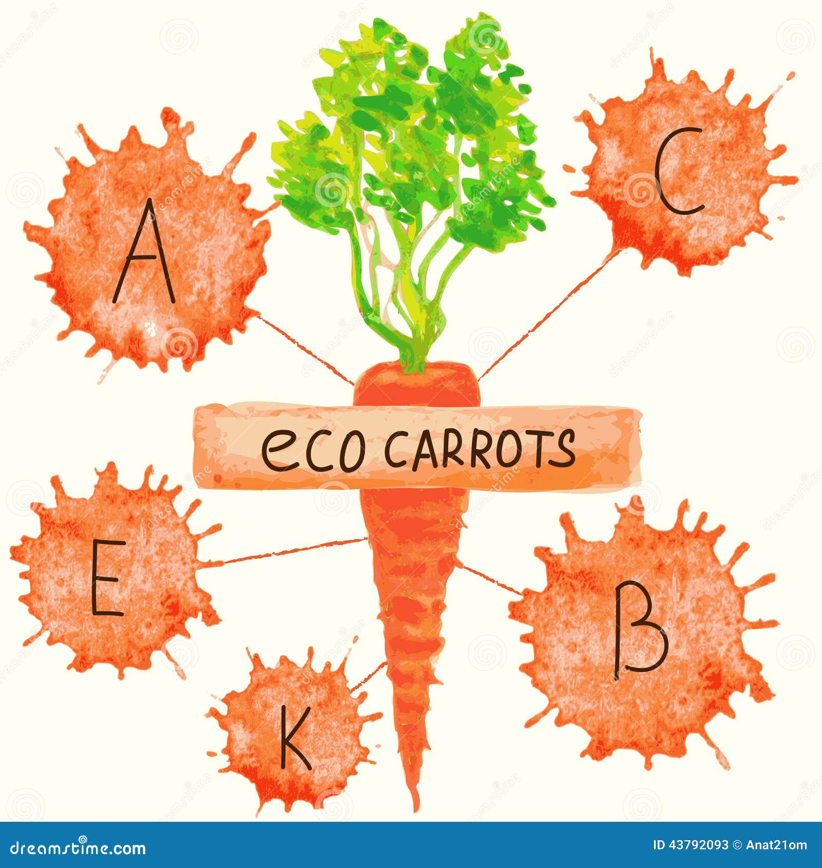 The Content of Vitamins in Carrots. Stock Vector Illustration of