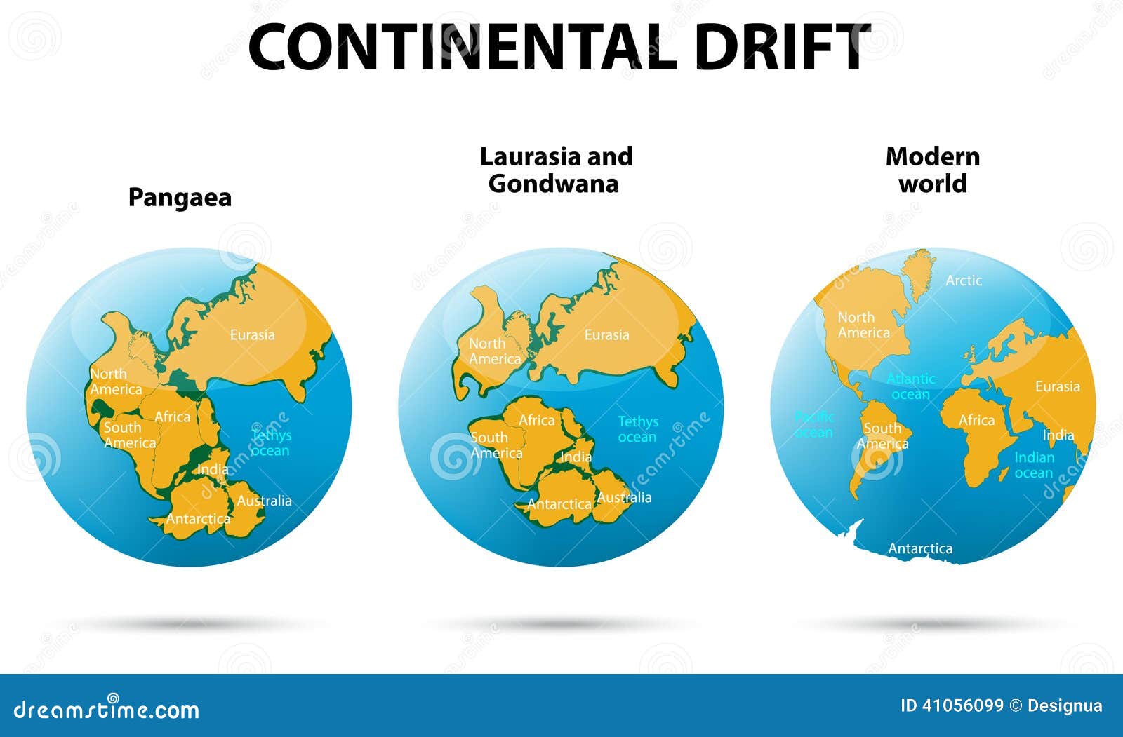 continental drift