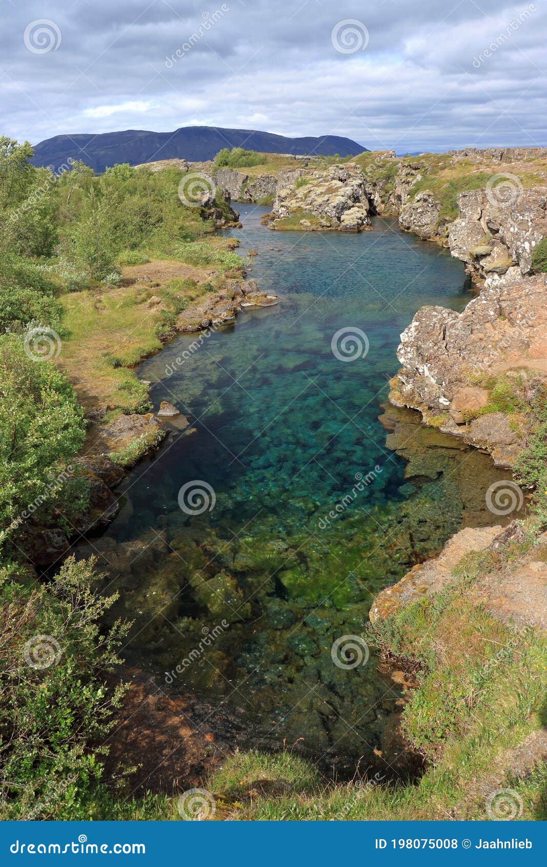 thingvellir national park with continental rift area at flosagja in western iceland