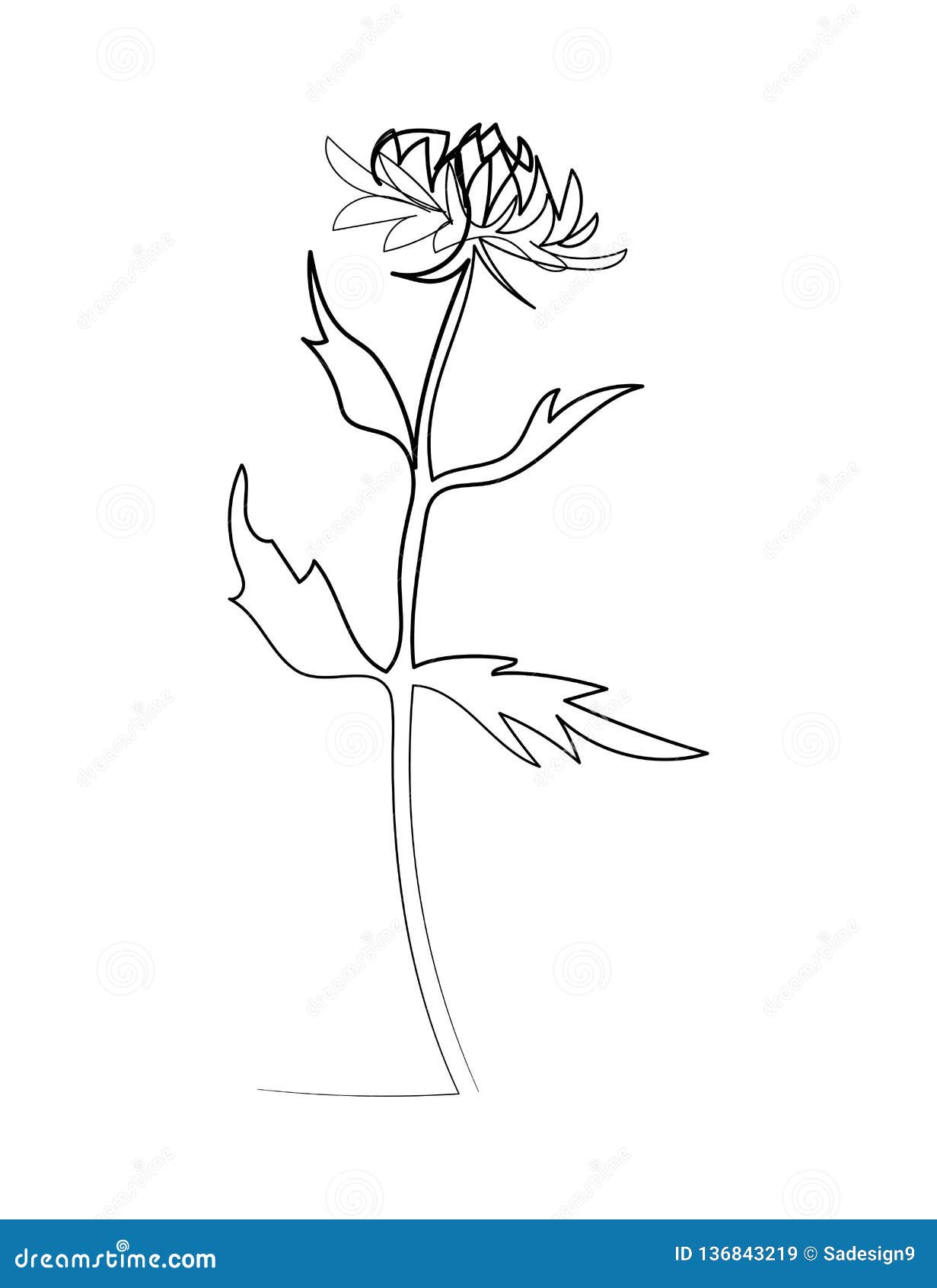 Continuous Line Chrysanthemum Flower. One Line Drawing Concept Stock