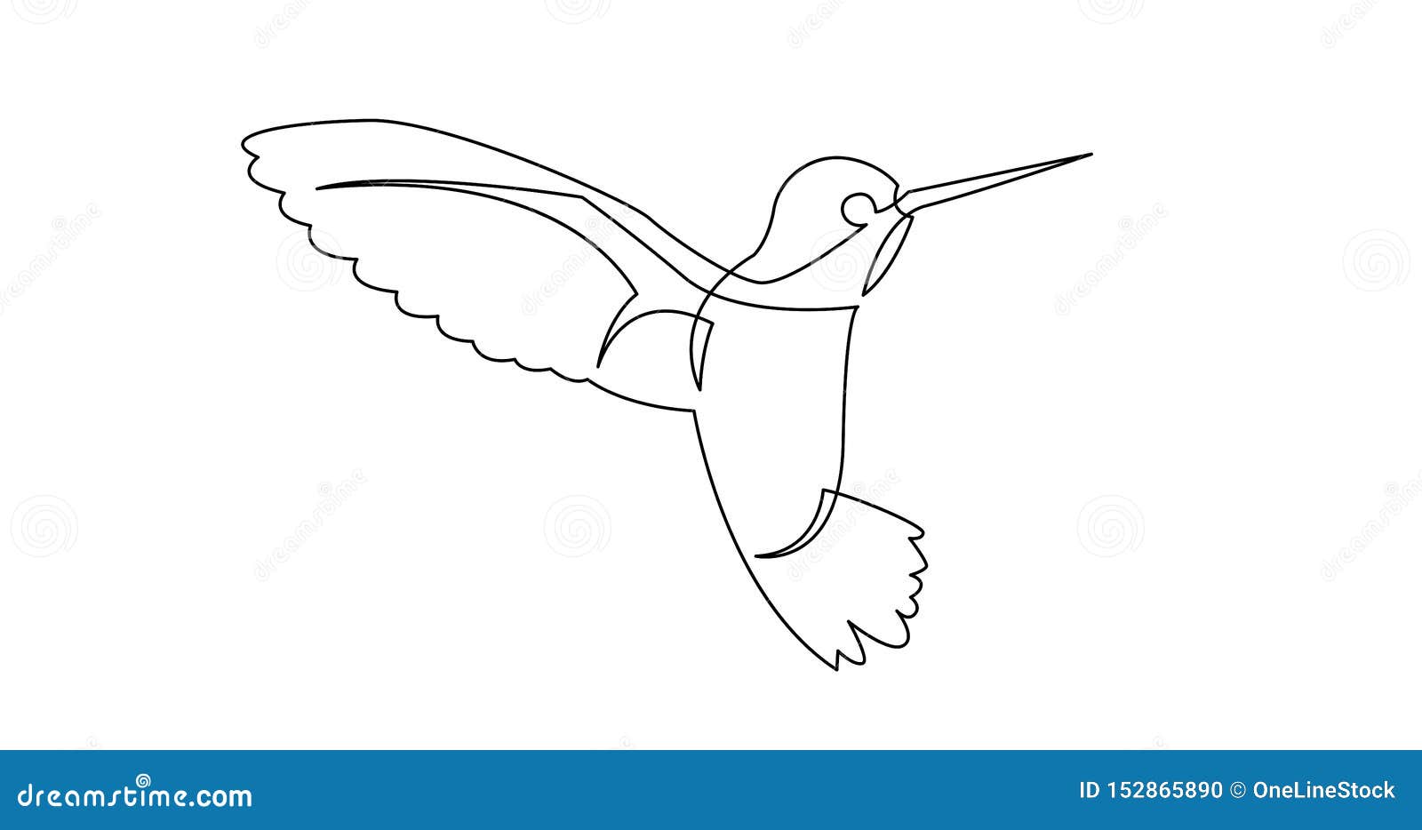 Continuous Line Drawing of Beautiful Colibri Birg Flying Stock ...