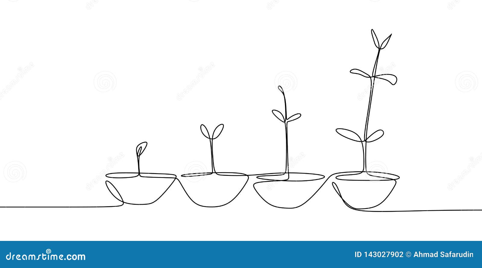 continuous line drawing of plant growth processes