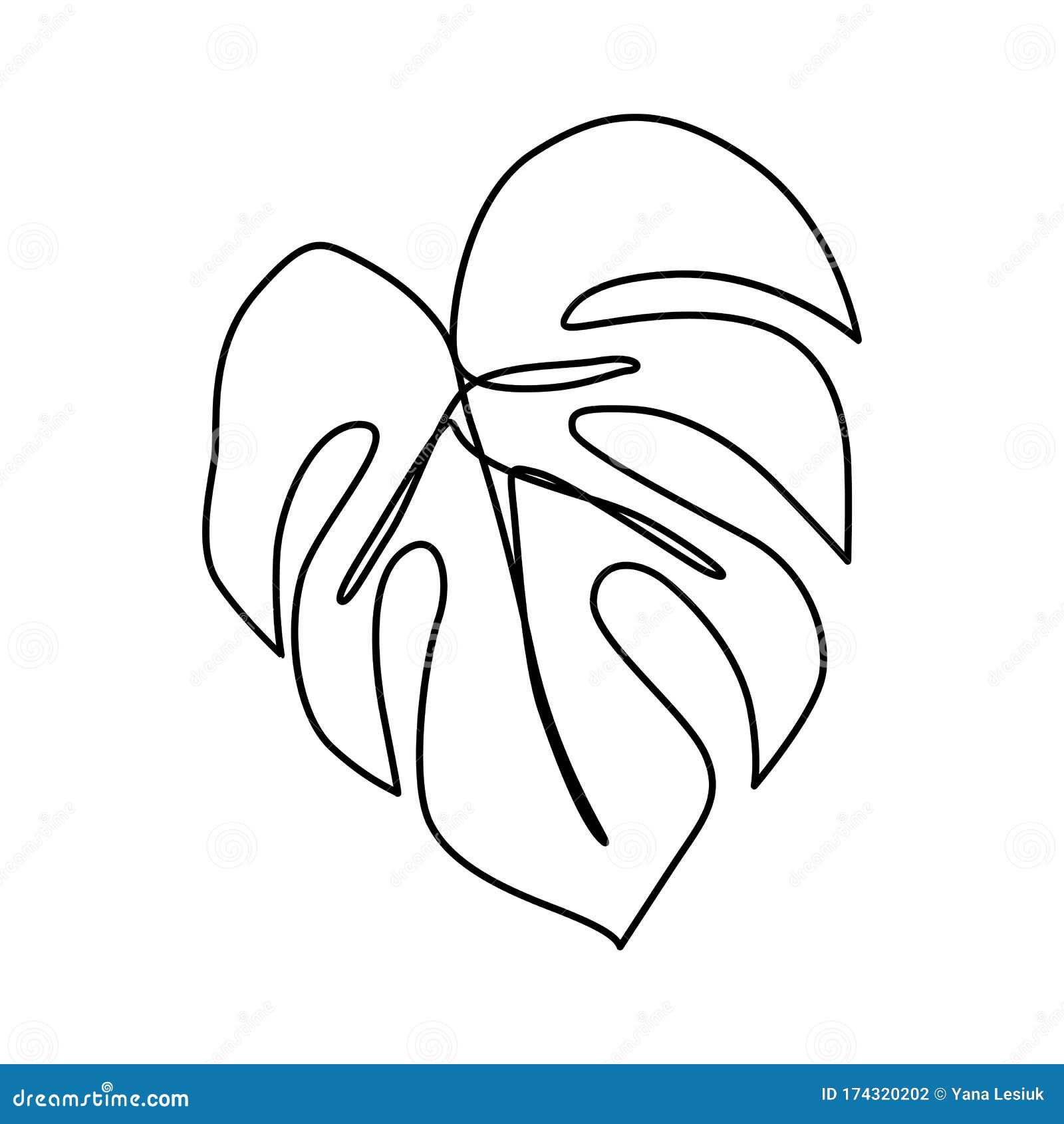 Monstera Leaf Line Art Contour Drawing Stock Vector Royalty Free