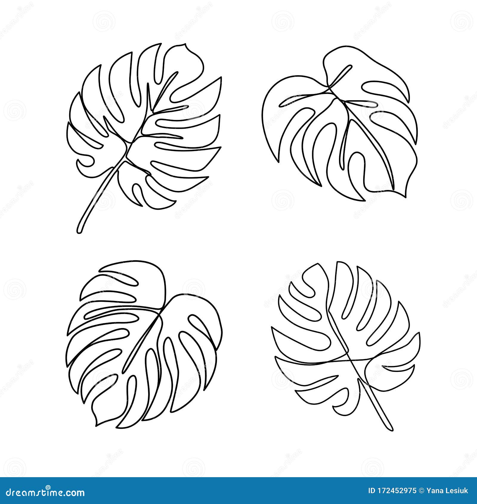 Monstera Leaves Line Drawing, Monstera Palm Line Art 2 Poster By Anita