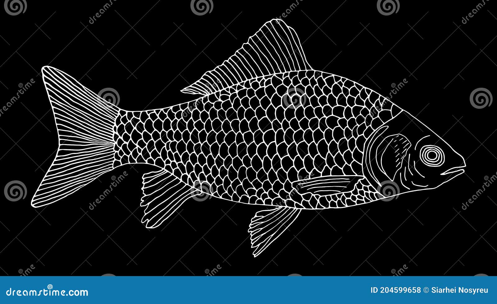 contour blanche tiree par la main de poissons carpe crucian sur le fond noir poisson riviere avec des ouies d echelle illu illustration vecteur du realiste retrait 204599658 coloriages gratuits ninjago