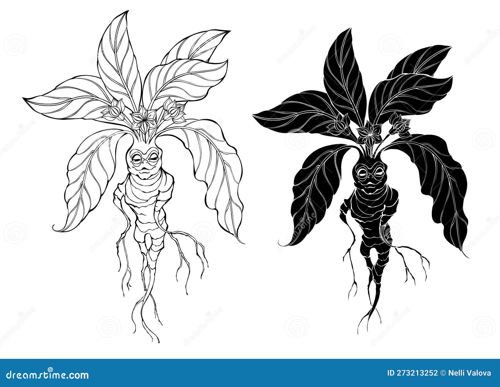 Vetor de Hand drawing mandrake. Black outline. Magic plant. Coloring page.  do Stock