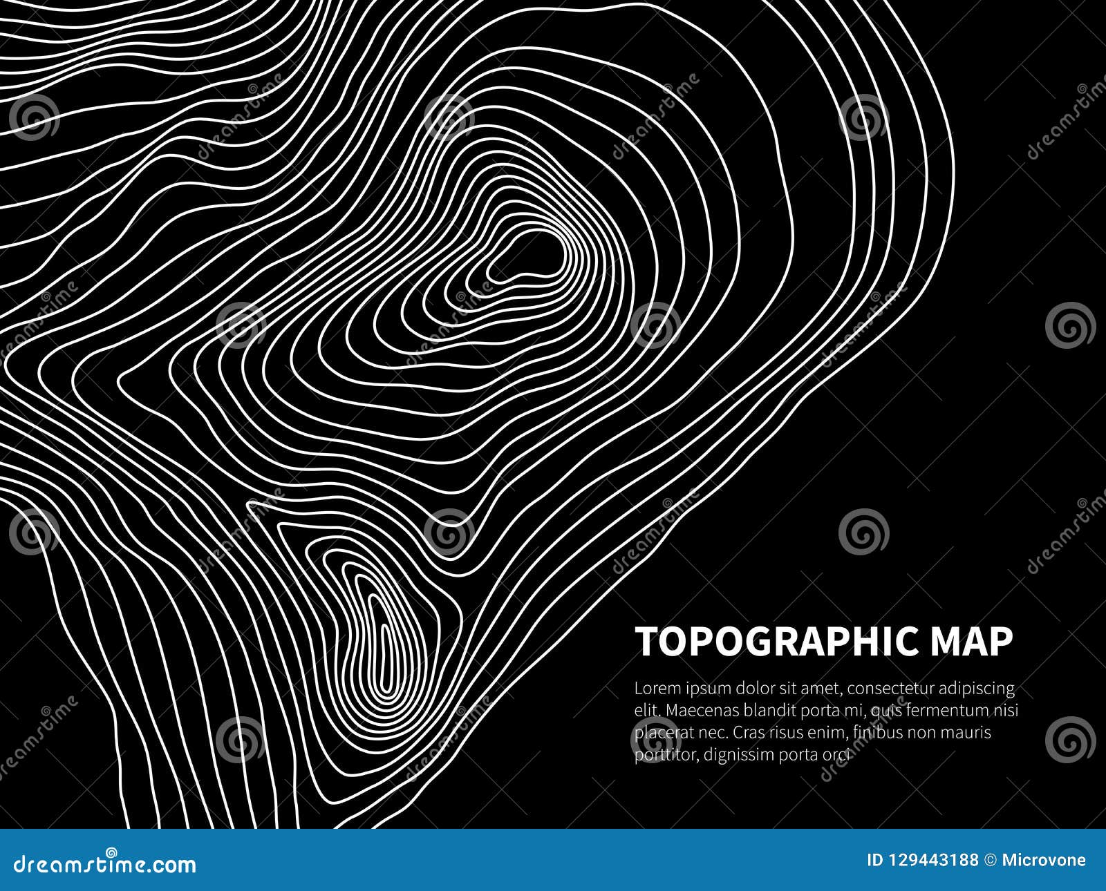 contour map. cartography line relief graphic  geometric background
