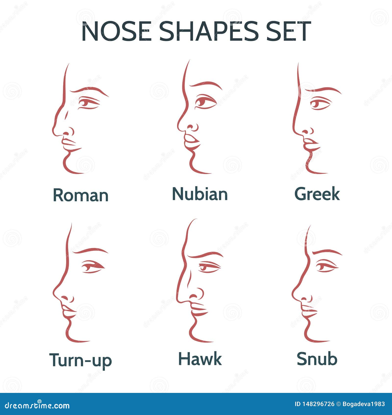 all different nose shapes