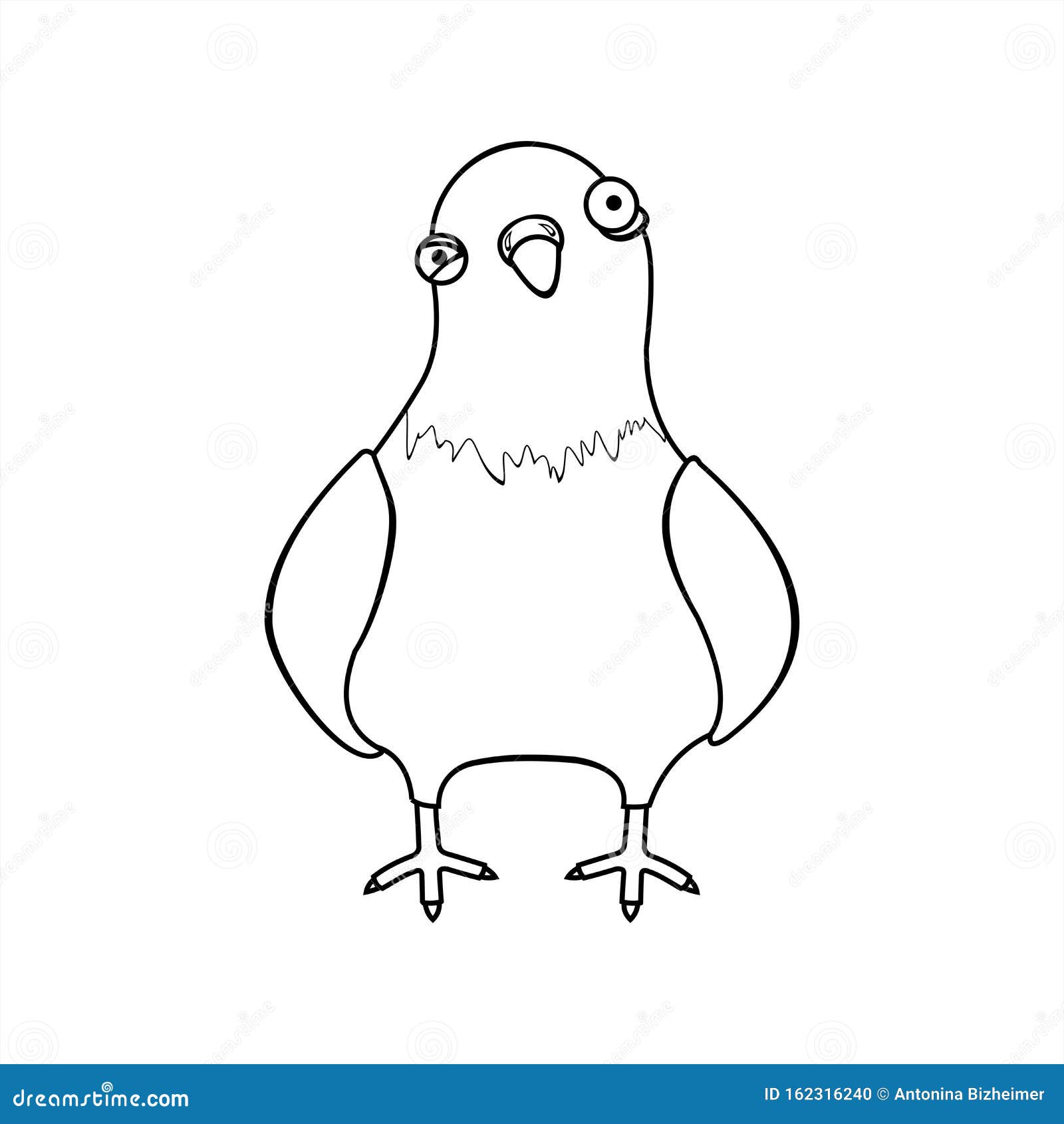 Contour Pigeon, City Bird. Cartoon Funny Pigeon with a Suspicious Look.  Vector Illustration Isolated on a White Background Stock Illustration -  Illustration of bird, element: 162316240