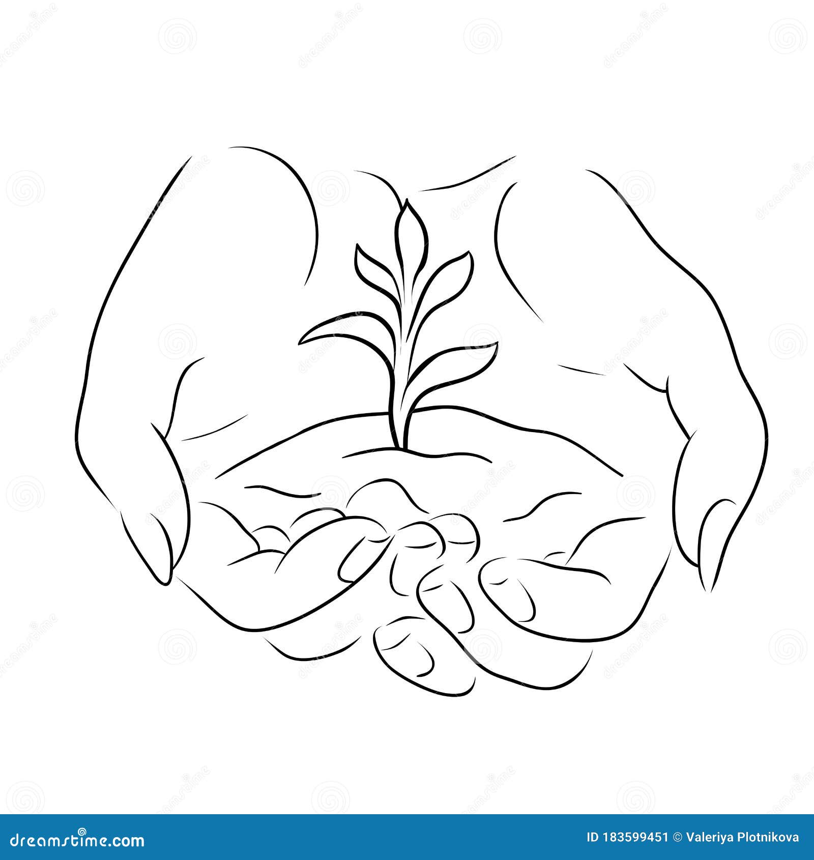 Contour Sketch of Female Hands Holding a Sprout with the Ground. World ...
