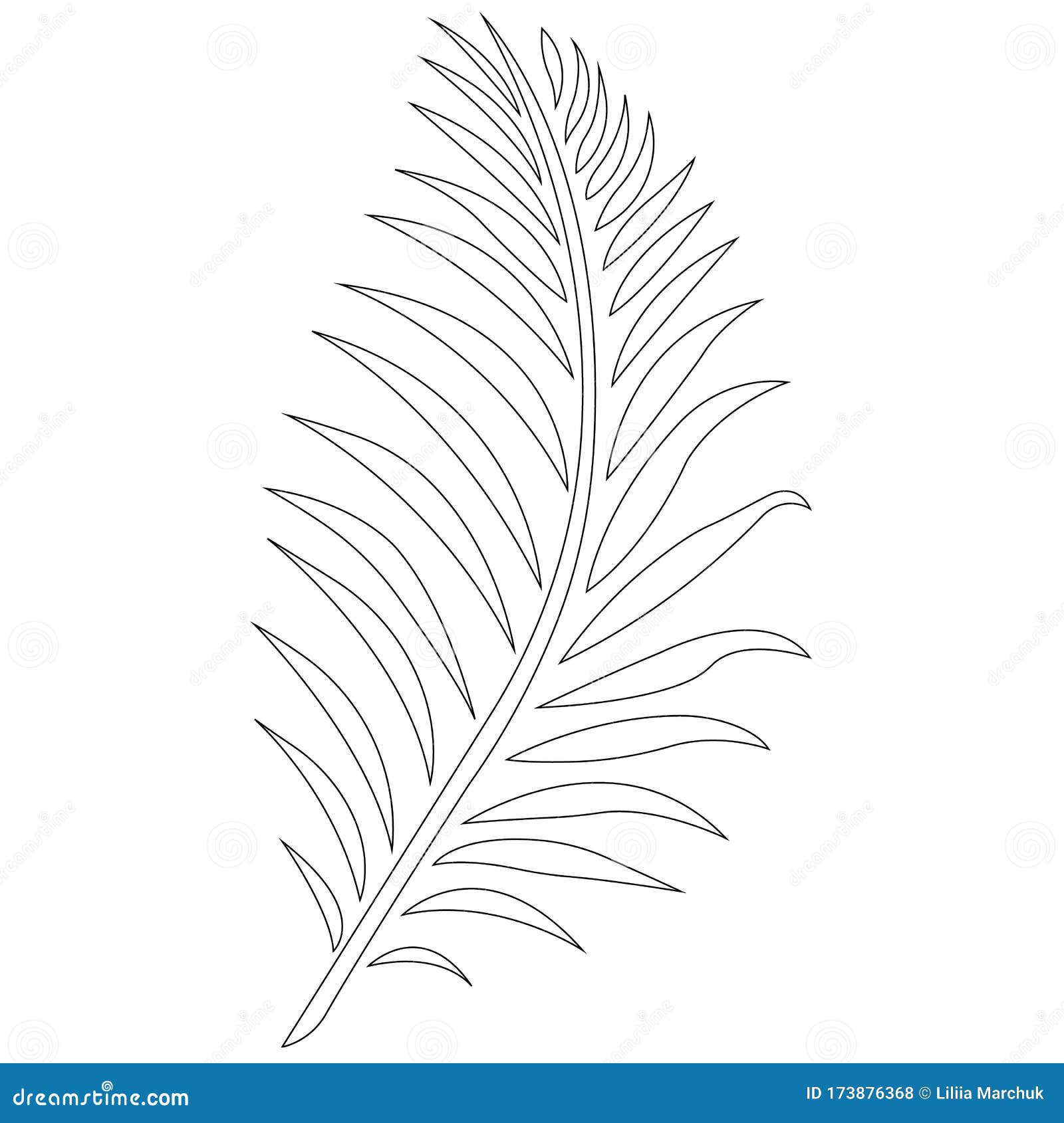 Contour of Tropical Fern Leaf, Palm Leaves Anti-stress Coloring. Design  Sketch Suitable for Tattoo, Botanical Emblem, Cosmetics Stock Vector -  Illustration of foliage, branch: 173876368