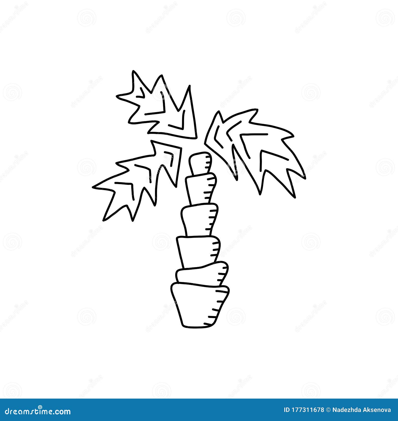 Download Contours Of Palm Trees, Hand-drawn Coloring Book . Anti ...