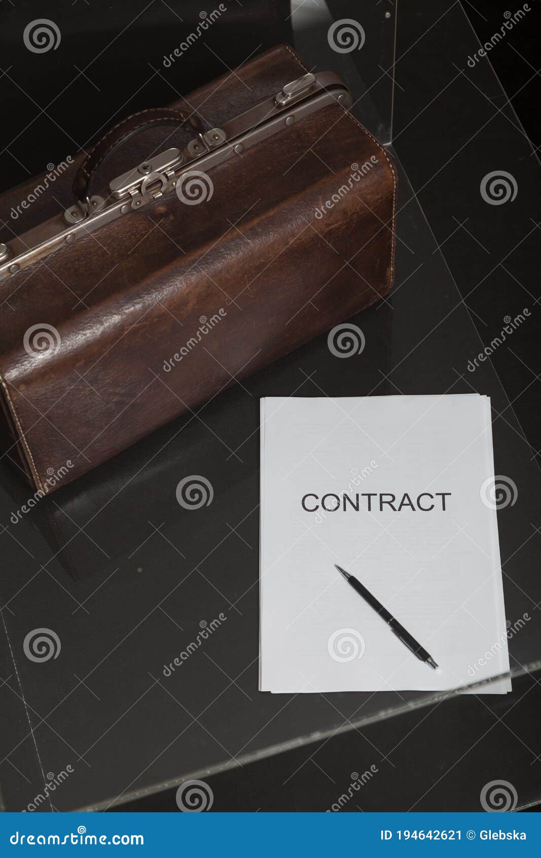 contract and leather carpetbag close-up