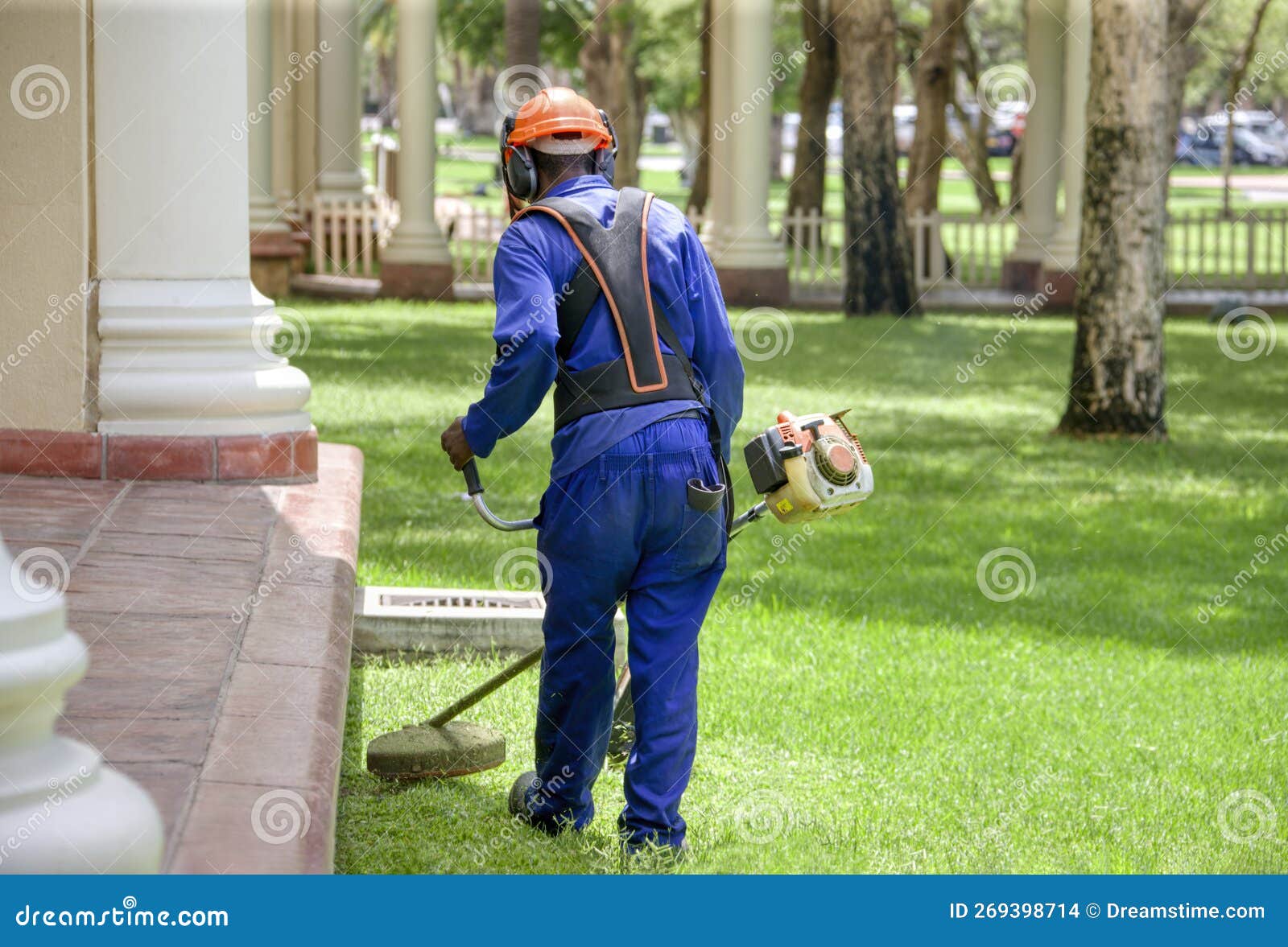 Contractor with a Trimmer Cutting Grass on the Meadow Stock Photo