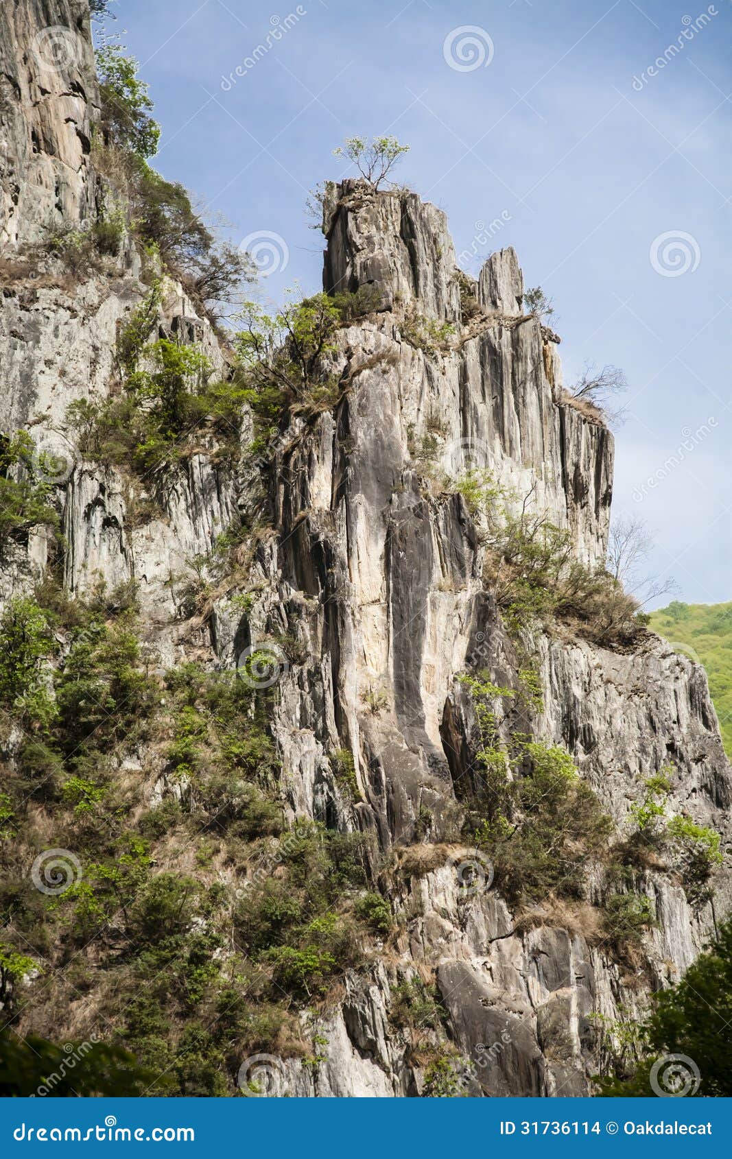 Steep Mountainside Landscape with Vegetation Stock Photo - Image of ...