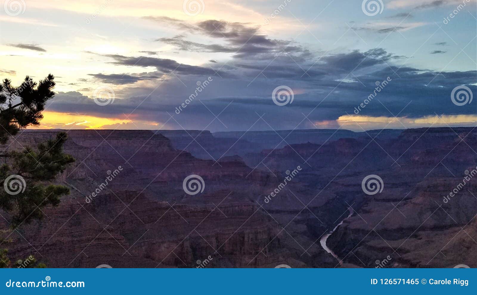 Contrasto tempestoso di Grand Canyon di tramonto. Un pino isolato incornicia un tramonto sbalorditivo e una tempesta d'avvicinamento in Grand Canyon Un nastro del fiume striscia attraverso le tonalità smorzate del ` s del canyon di blu e porpora crepuscolari