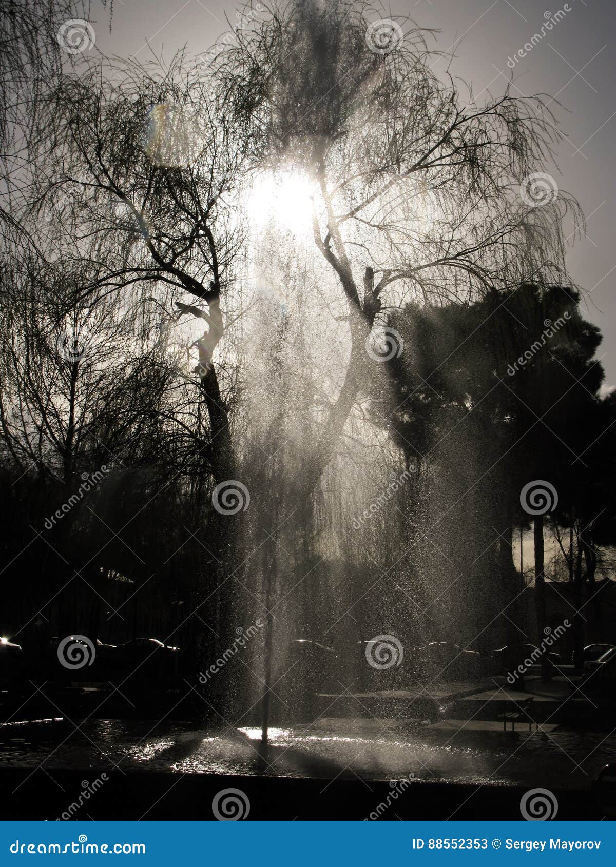 contre-jour view to fountain and tree near ayatollah khomeini square inesfahan, iran