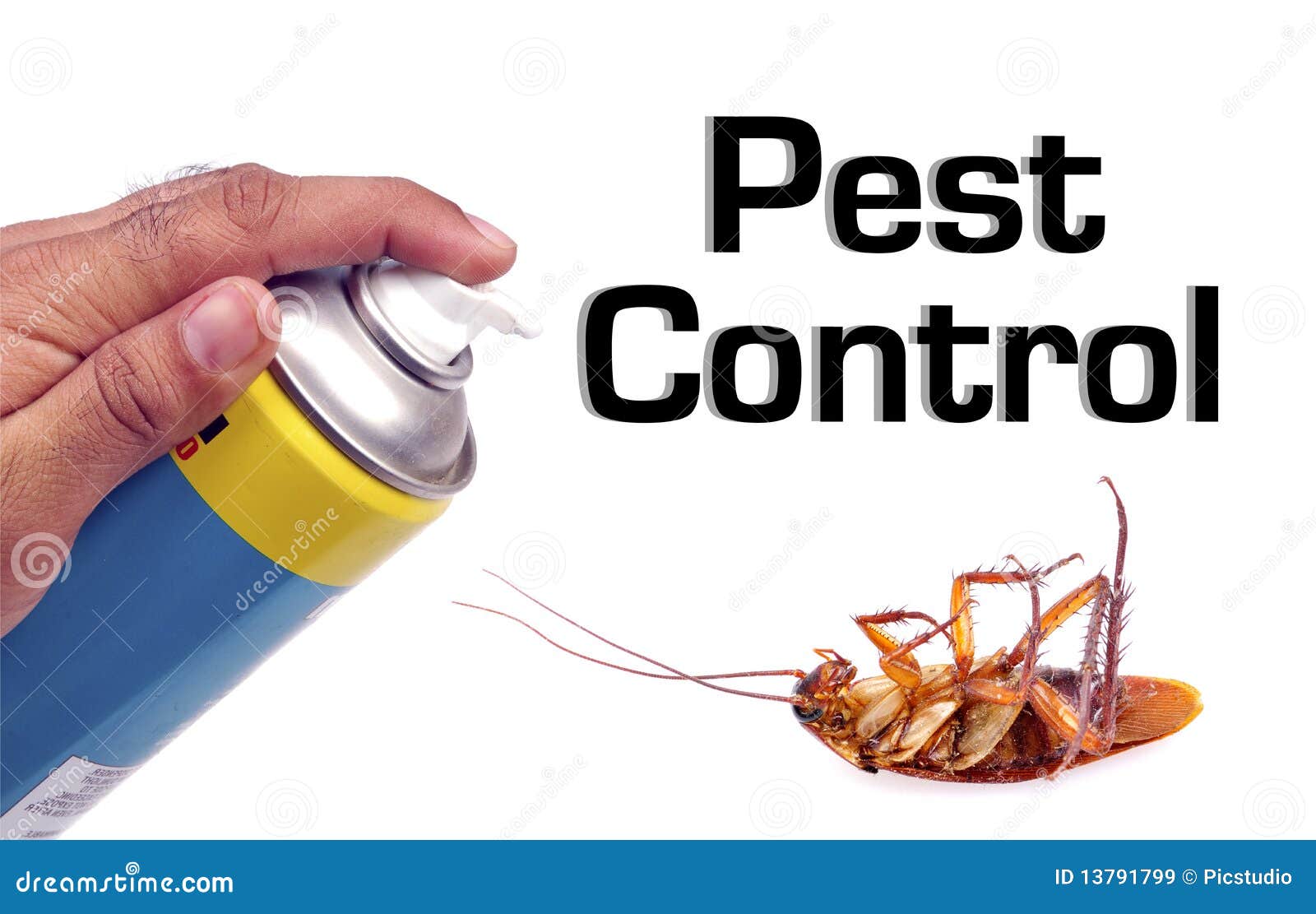 Les images des parasites les helminthes de la personne
