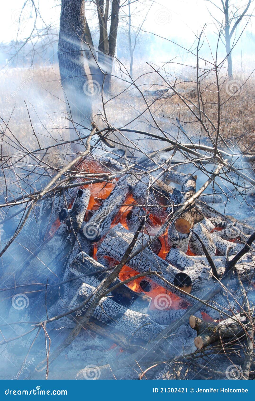 A Controlled Burn with Blue Logs and Orange Fire Stock Image Image of