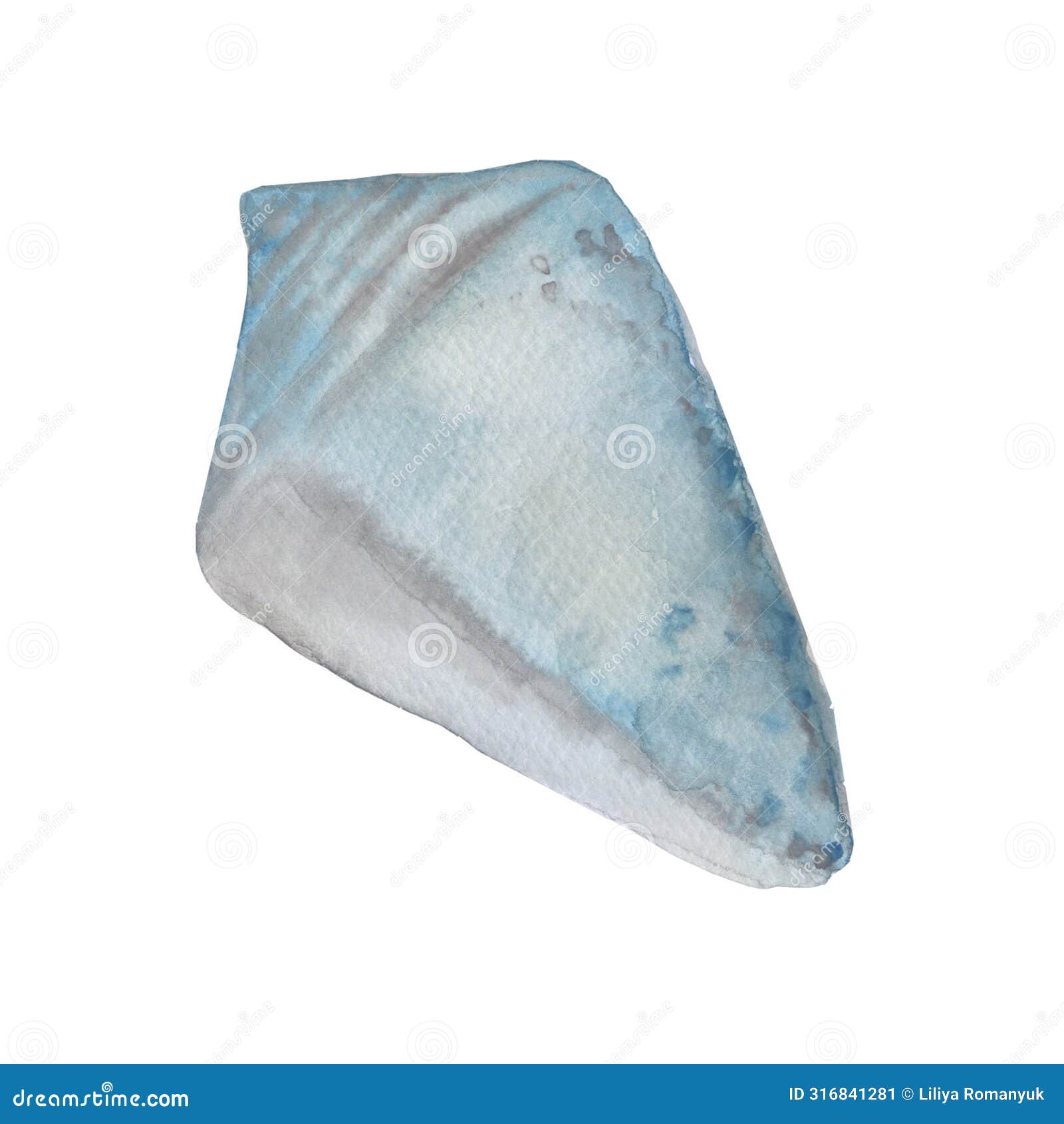 conus spurius sea ocean shell composition watercolor   on white background base for printing on
