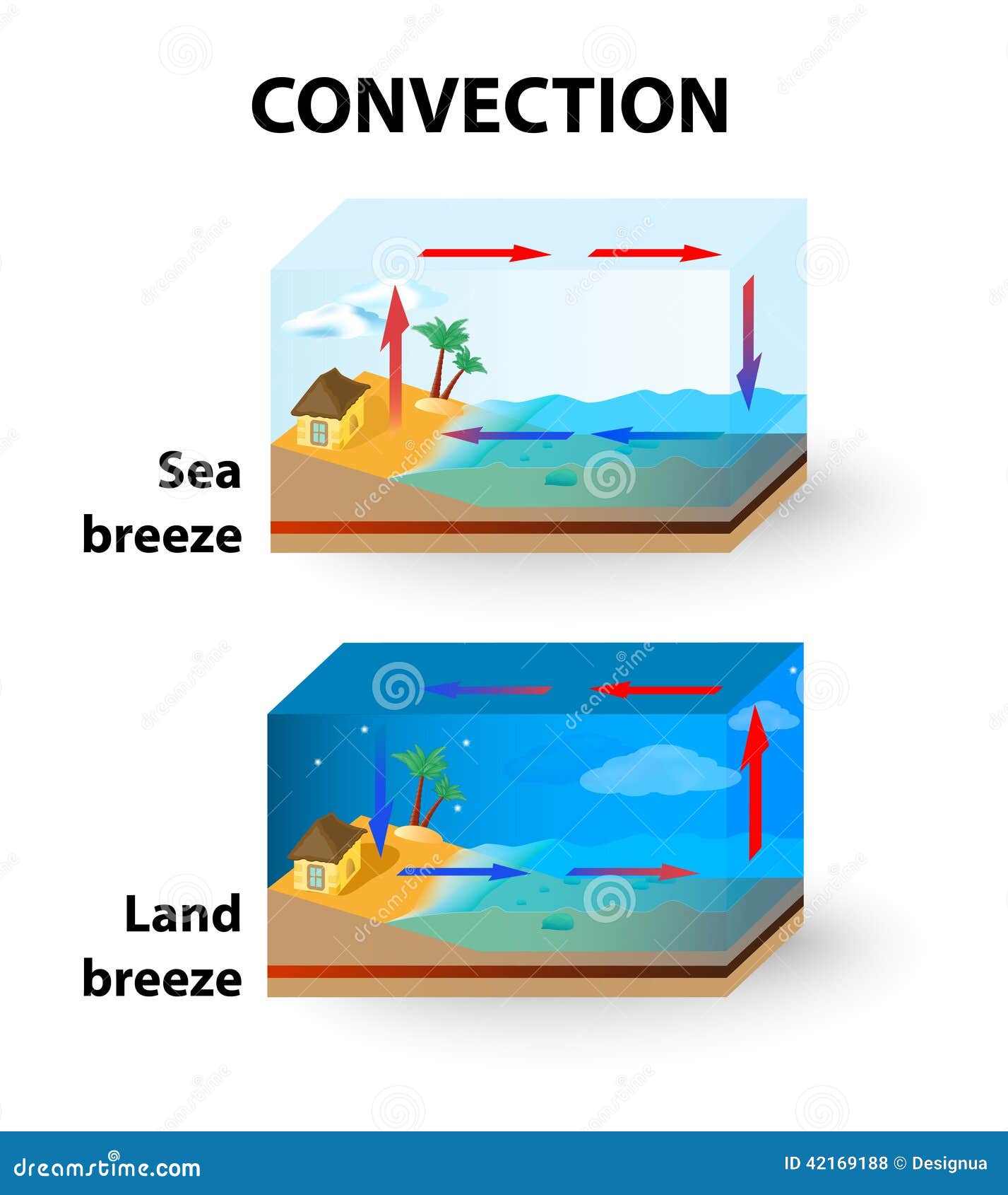 convection. land breeze and sea breeze