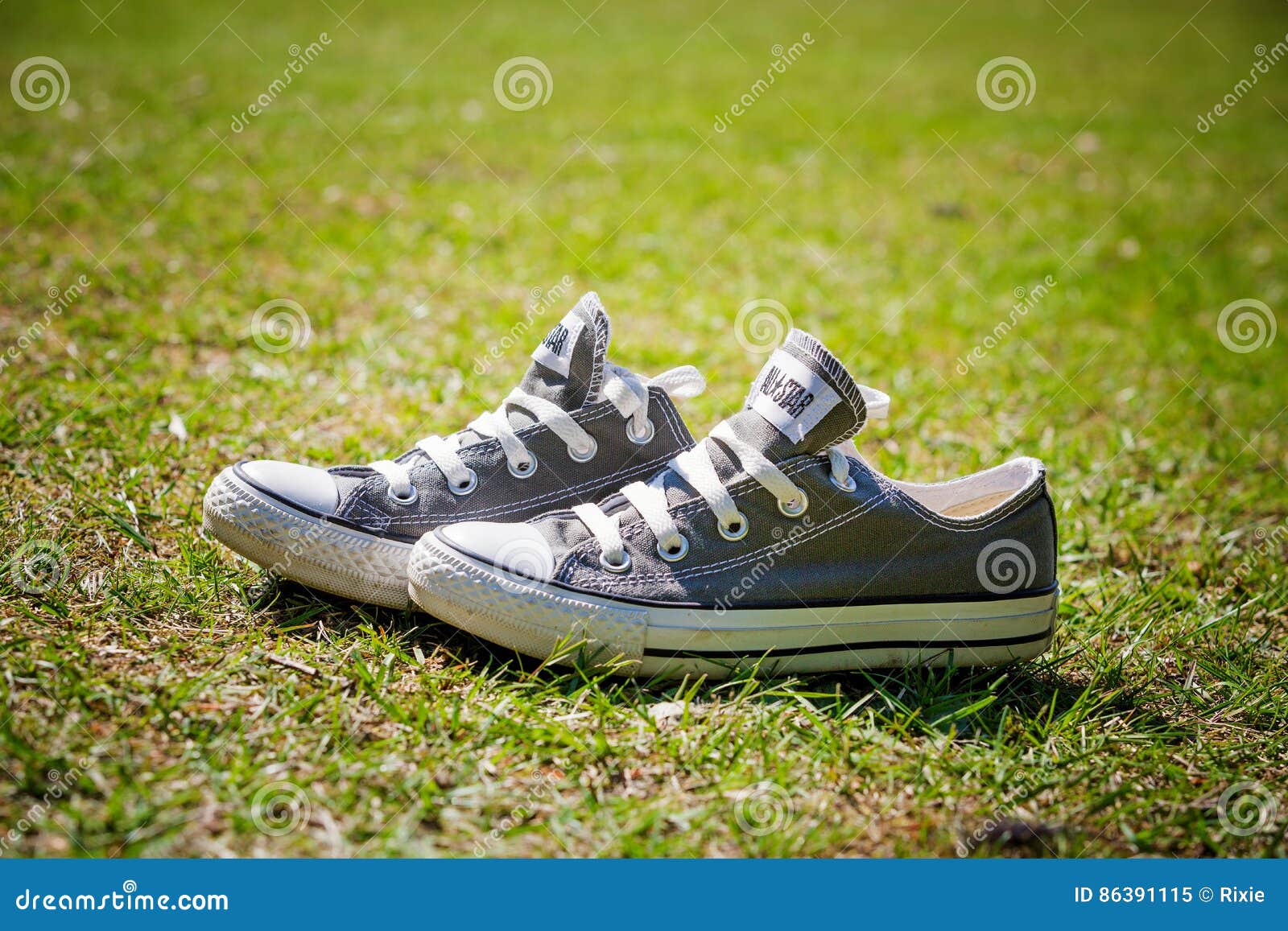 converse 2013