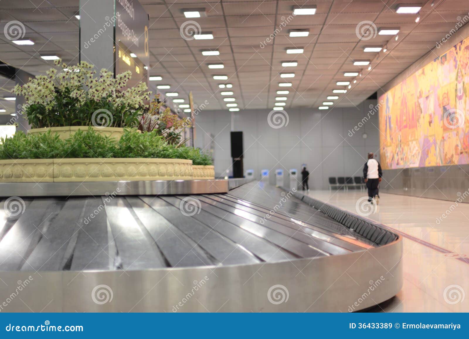 Conveyor Belt at an Airport Stock Image Image of england