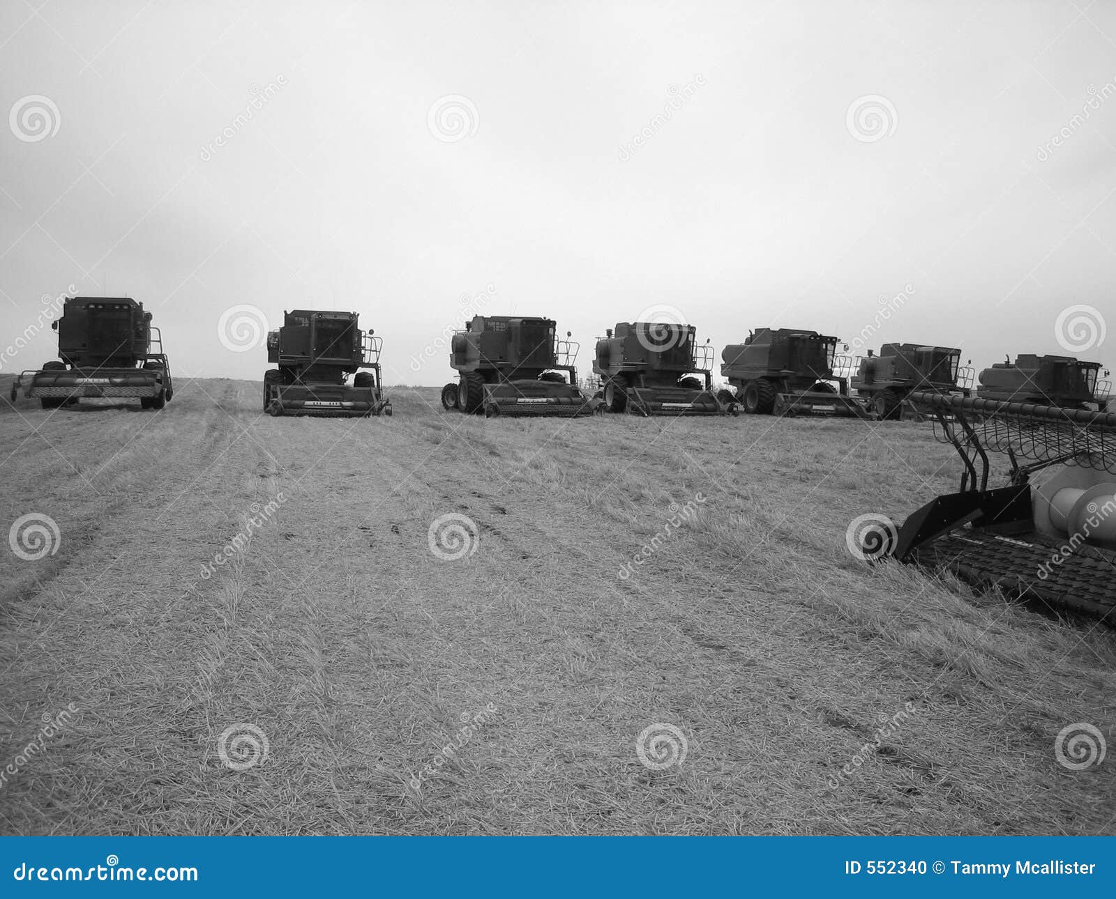 convoy of tractors