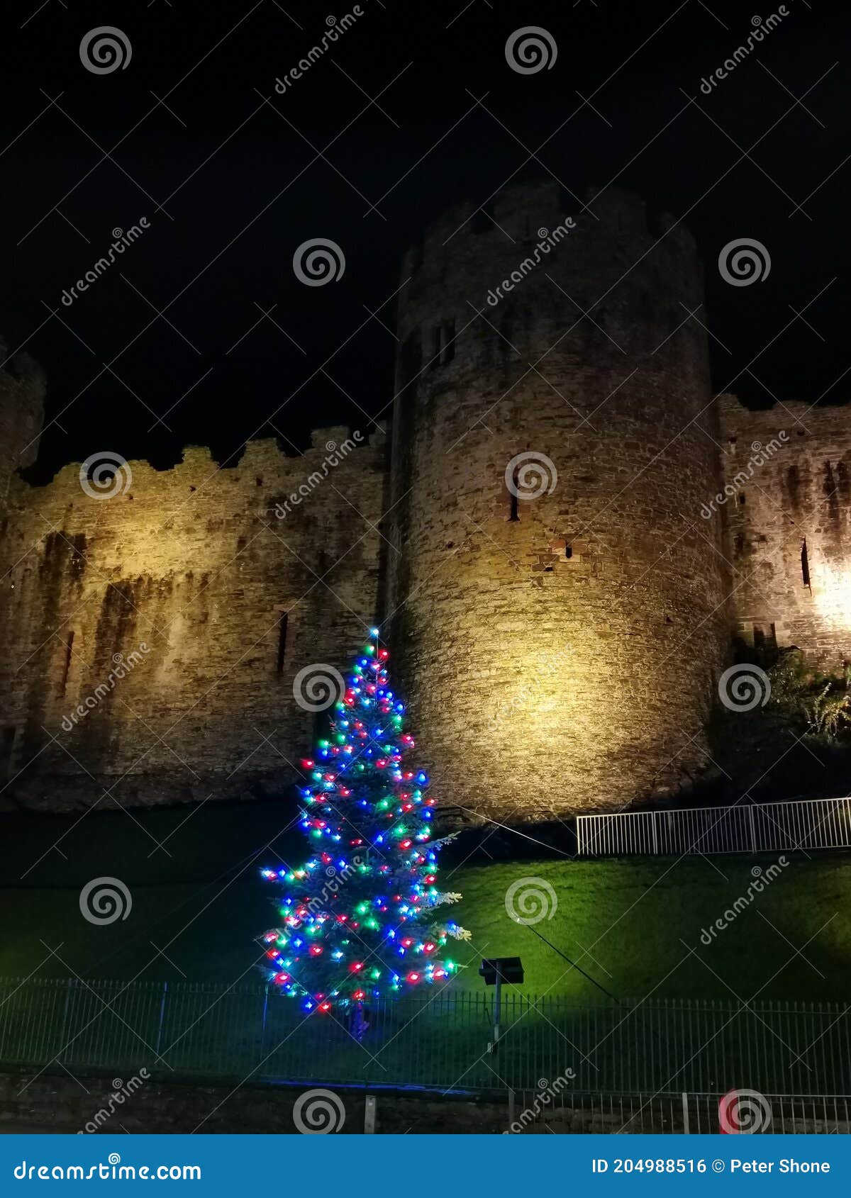 Conwy Castle Christmas Tree Stock Photo Image of wales, christmas