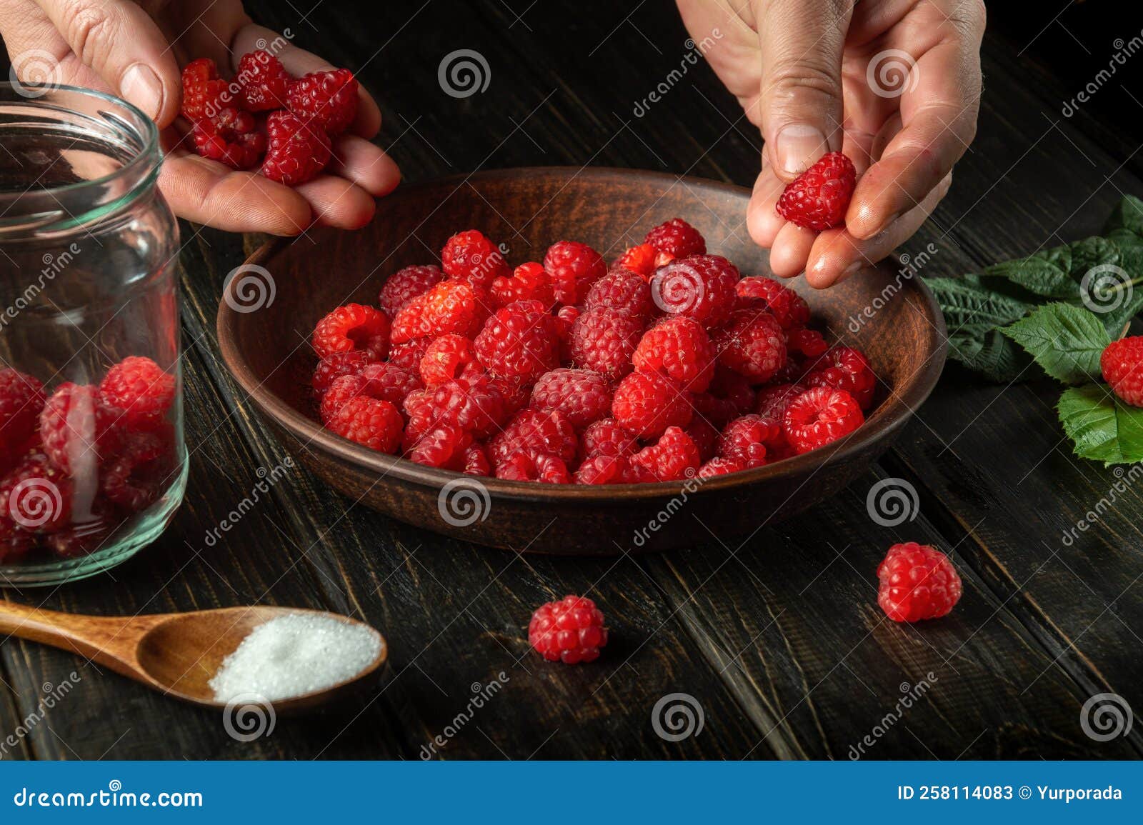 The Cook Prepares Compote or Fruit Drink with Raspberries. Chef Hands while Sorting and Cleaning