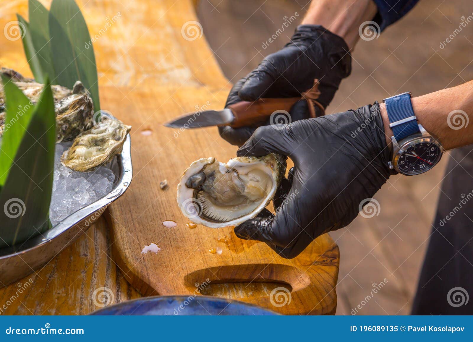 Cook Takes Oysters Out of the Shells with a Knife Stock Image Image