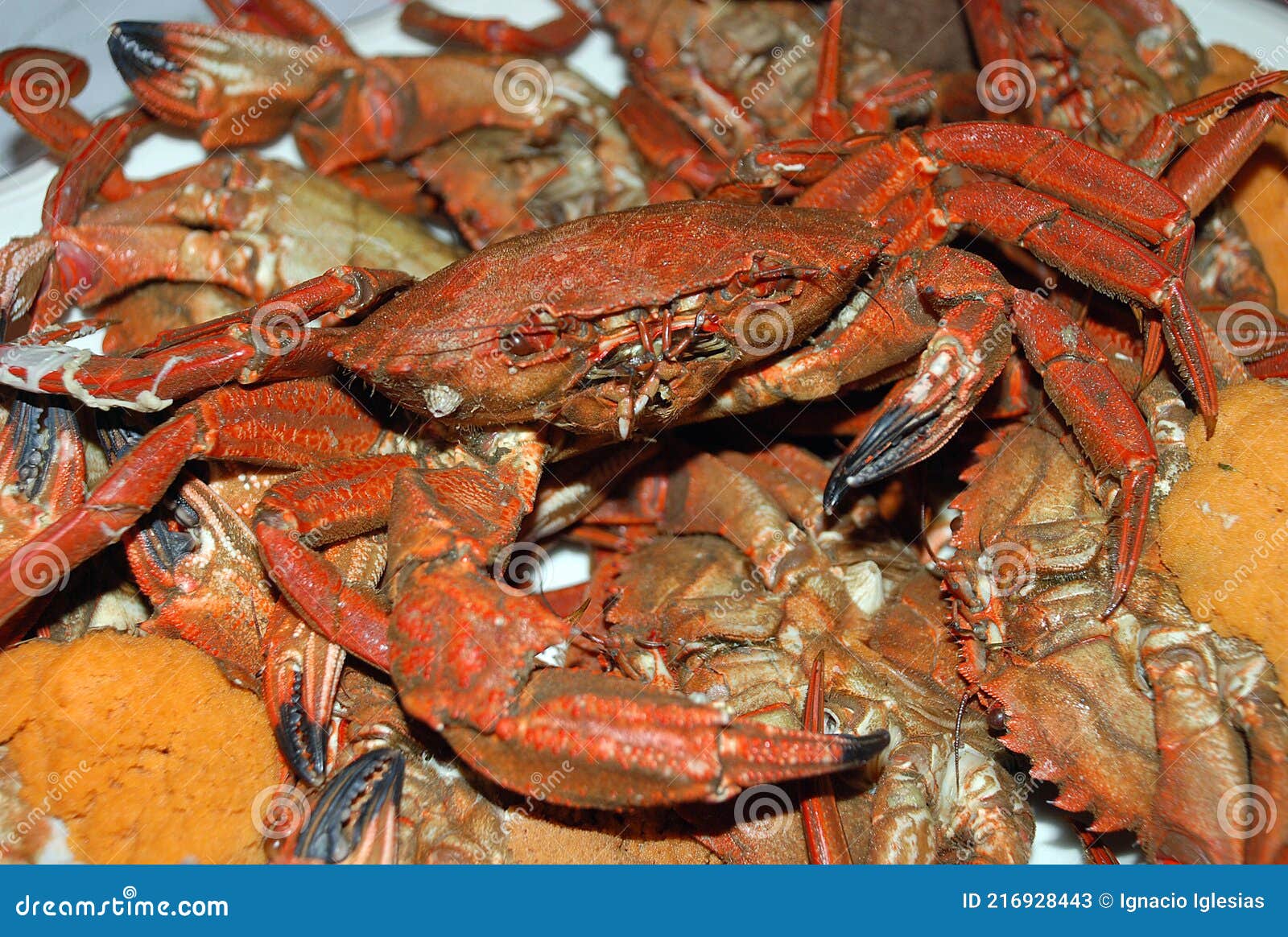 Cooked big crabs stock image. Image of meal, prepared 216928443