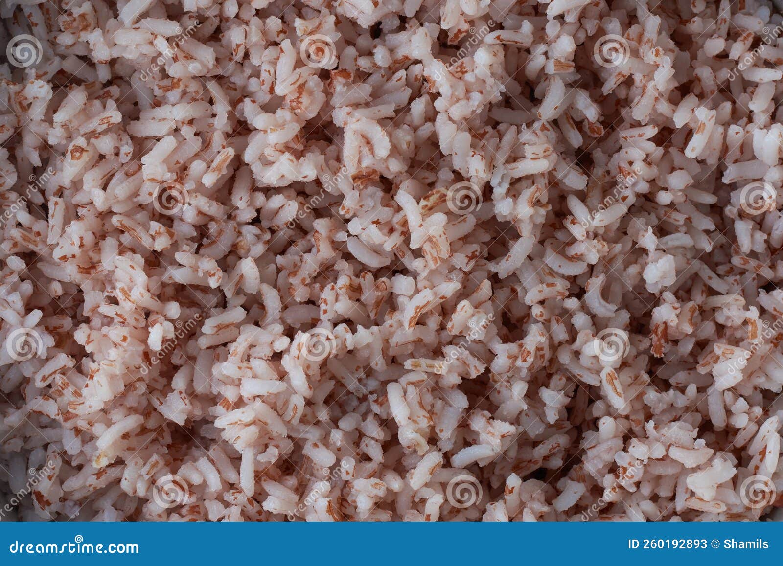 Cooked Whole Grain Brown Rice, Full Frame Background Stock Image