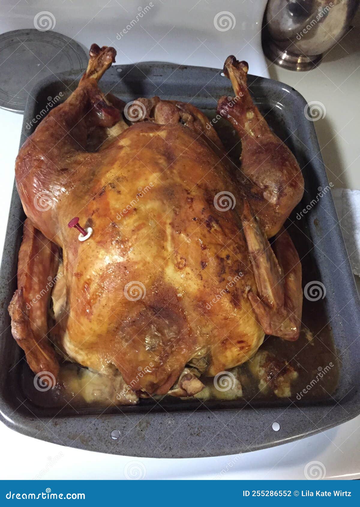 Cooked Chicken with Stuffing Stock Photo Image of call, chicken