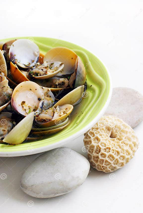 Cooked clams in white wine stock image. Image of cooked 4651665