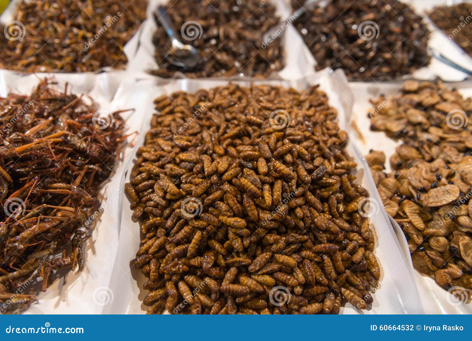 Cooked, Edible Insects and Maggot for Human Consumption at a Pub Stock  Photo - Image of afternoon, adventure: 60664532