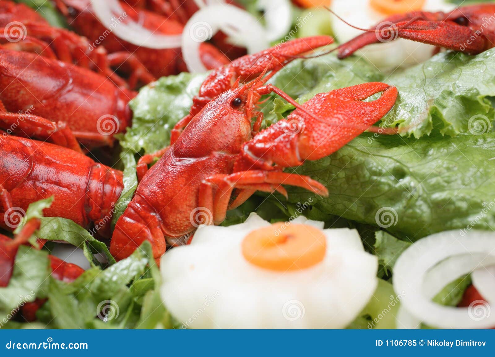 Cooked Lobsters, Sydney Fish Markets, Australia RoyaltyFree Stock