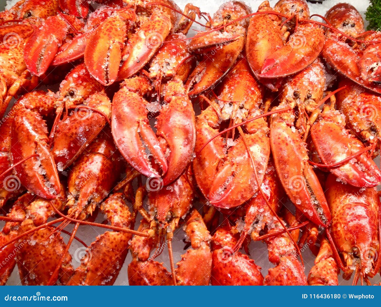 Cooked Lobsters in Food Store Stock Photo Image of case, view 116436180