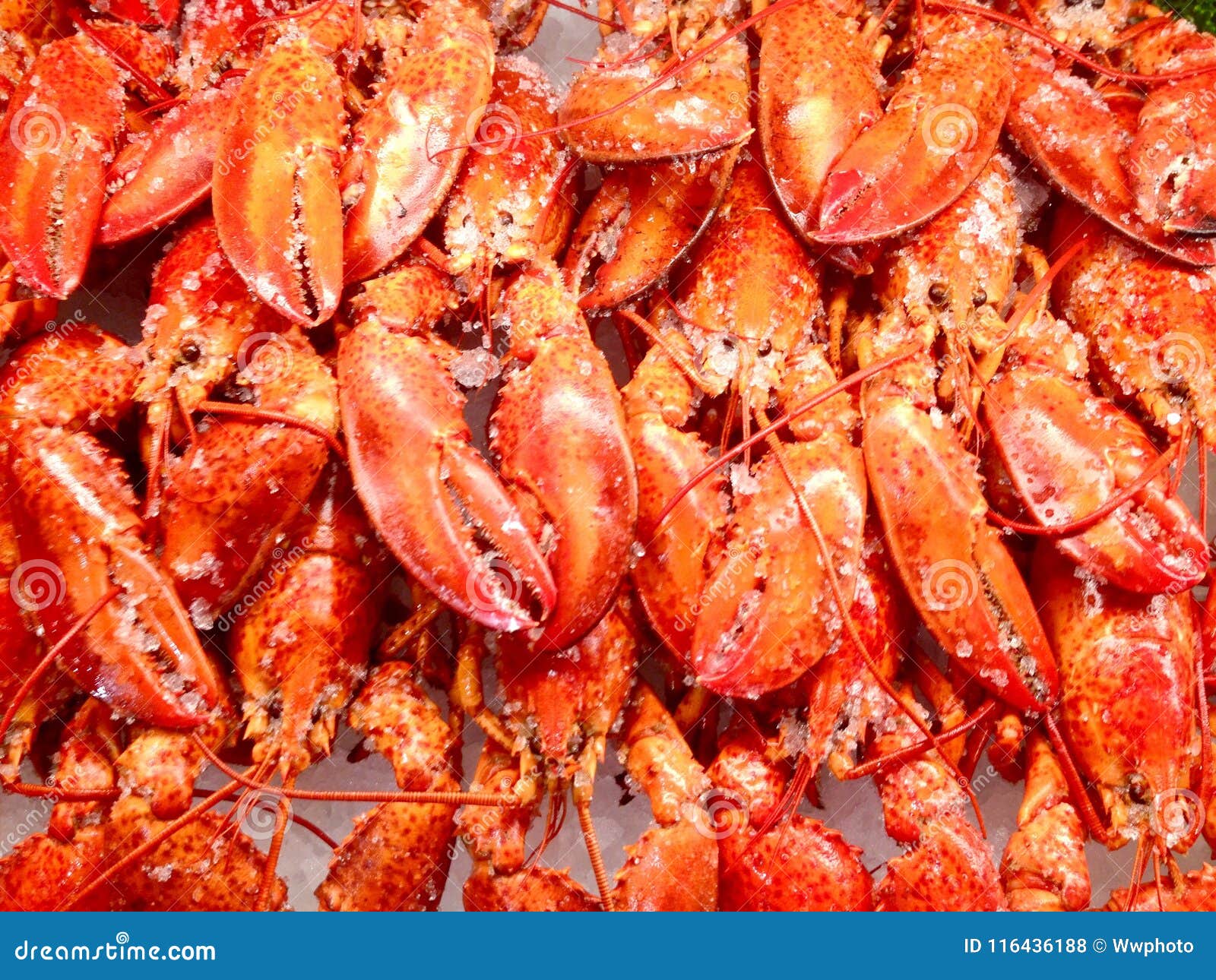 Cooked Lobsters in Food Store Stock Photo Image of supermarket, claw