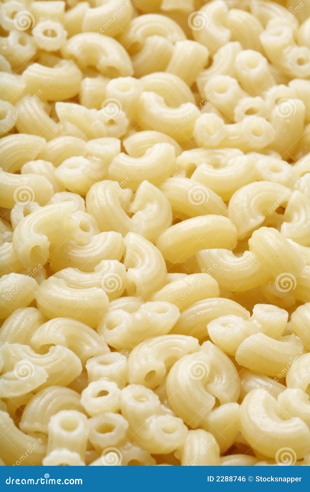 Cooked macaroni stock photo. Image of closeup, food, italian 2288746